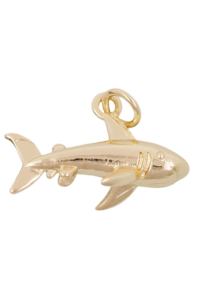 Sharky Charm