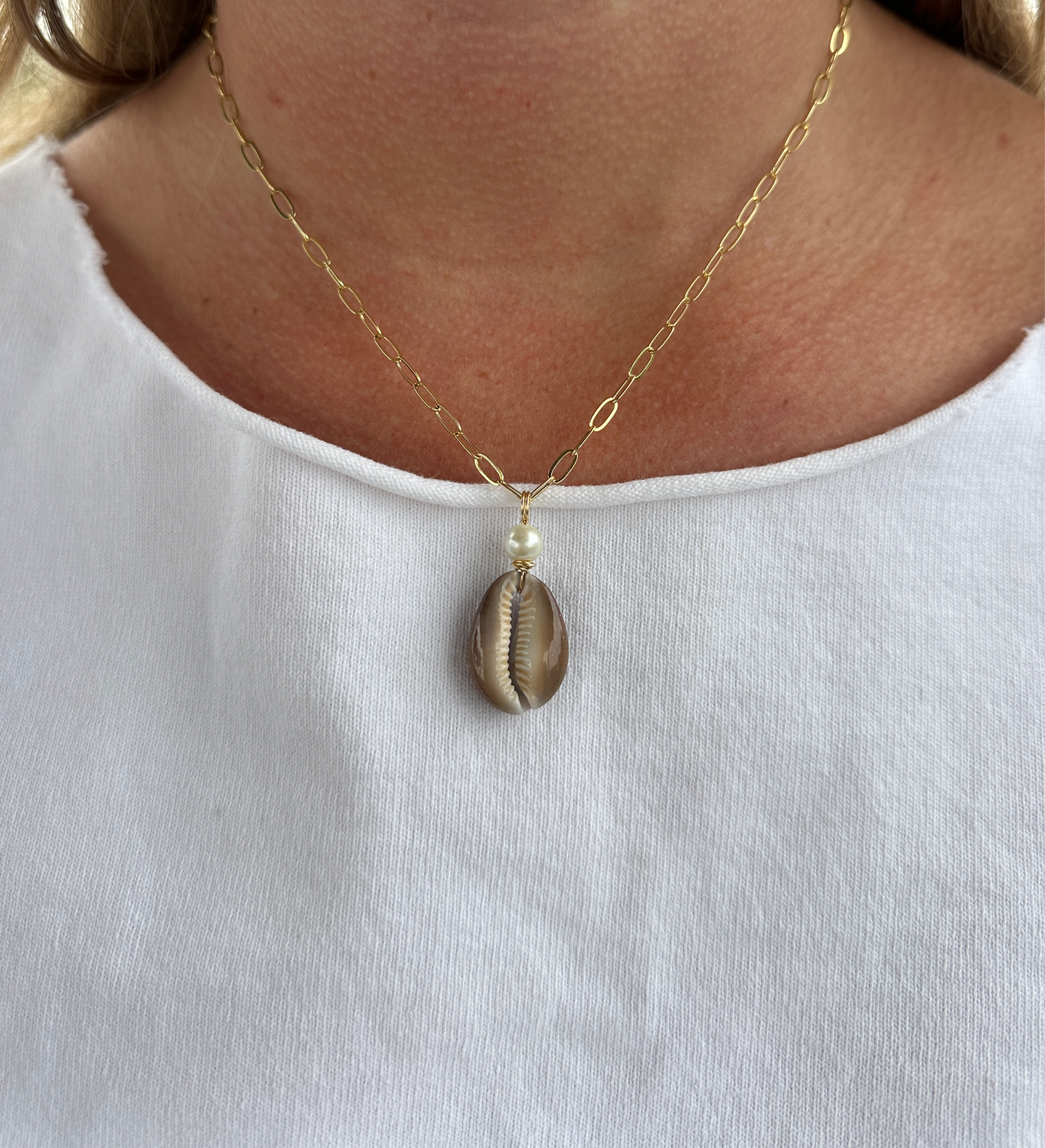 Cowrie From Hawaii