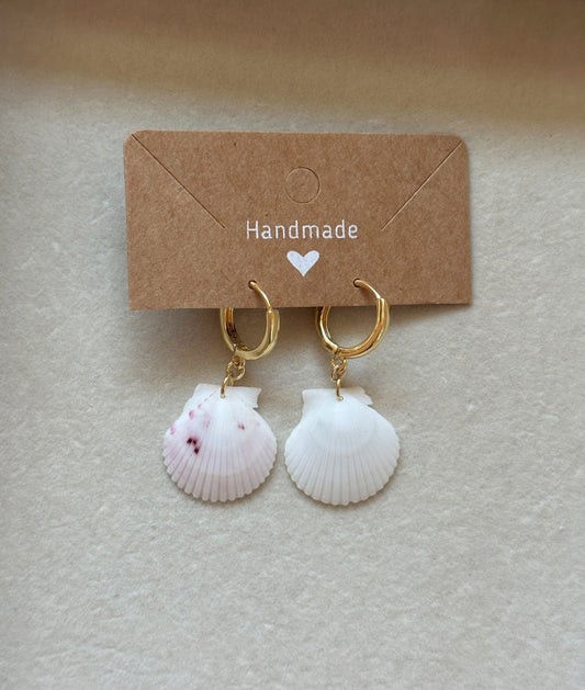 Seashell Hoops