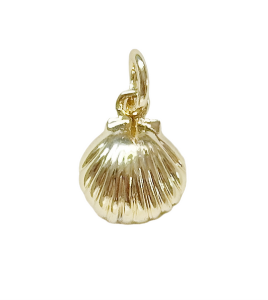 Sea Shell Charm