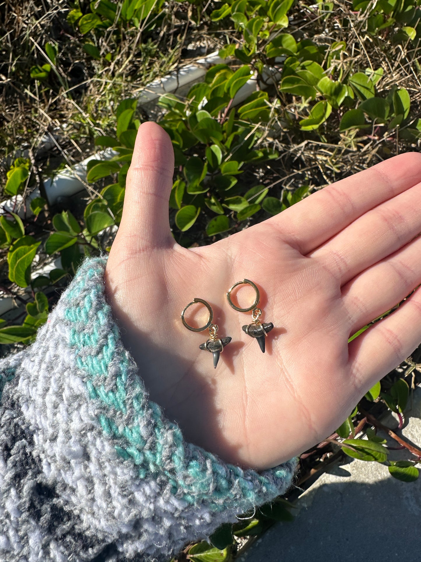 Shark Tooth Earrings