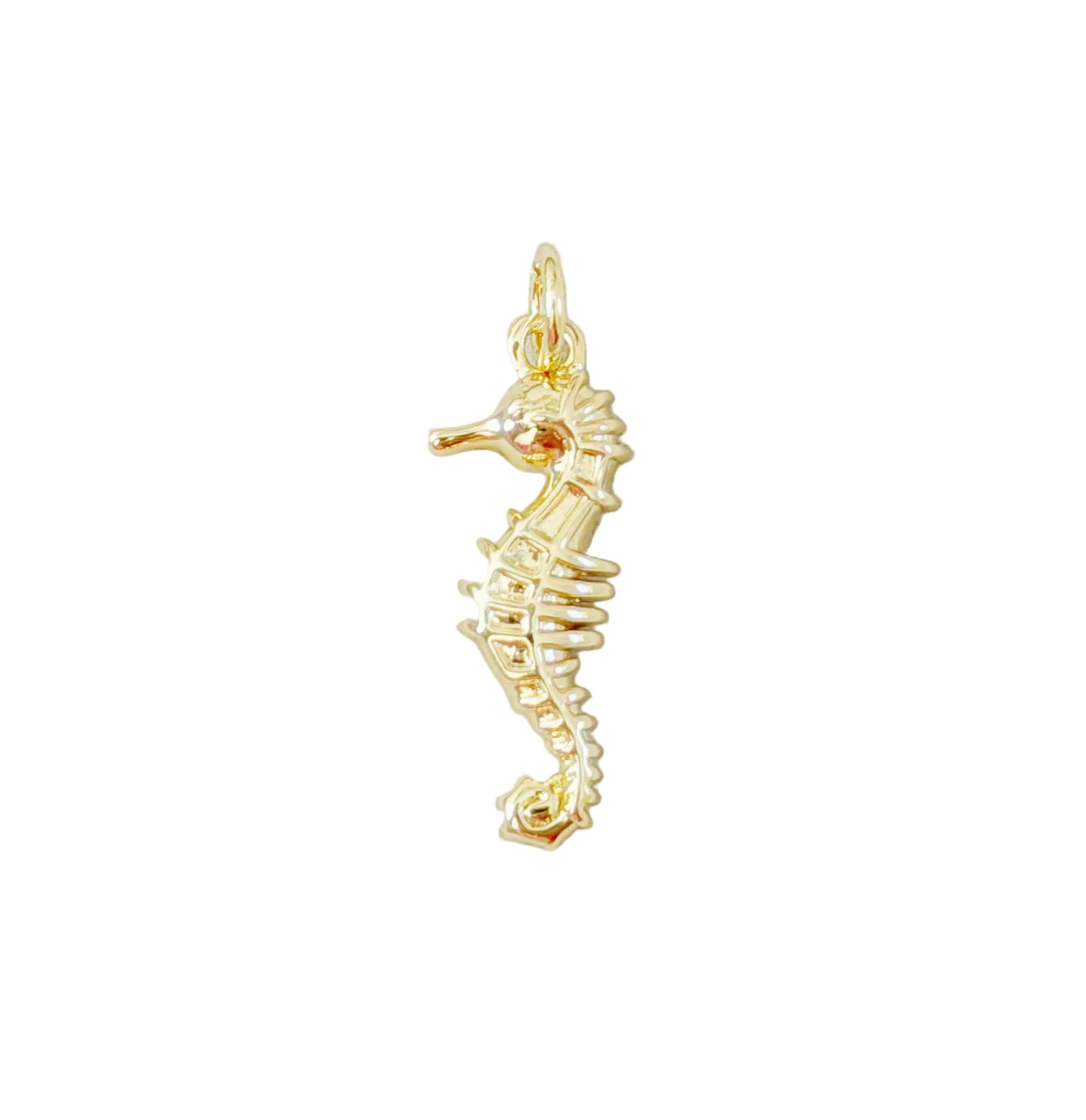 Seahorse Charm