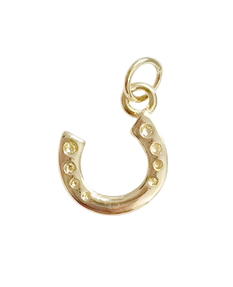 Horse Shoe Charm