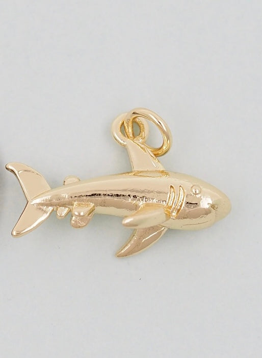 Sharky Charm