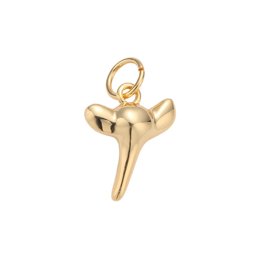 Shark Tooth Charm