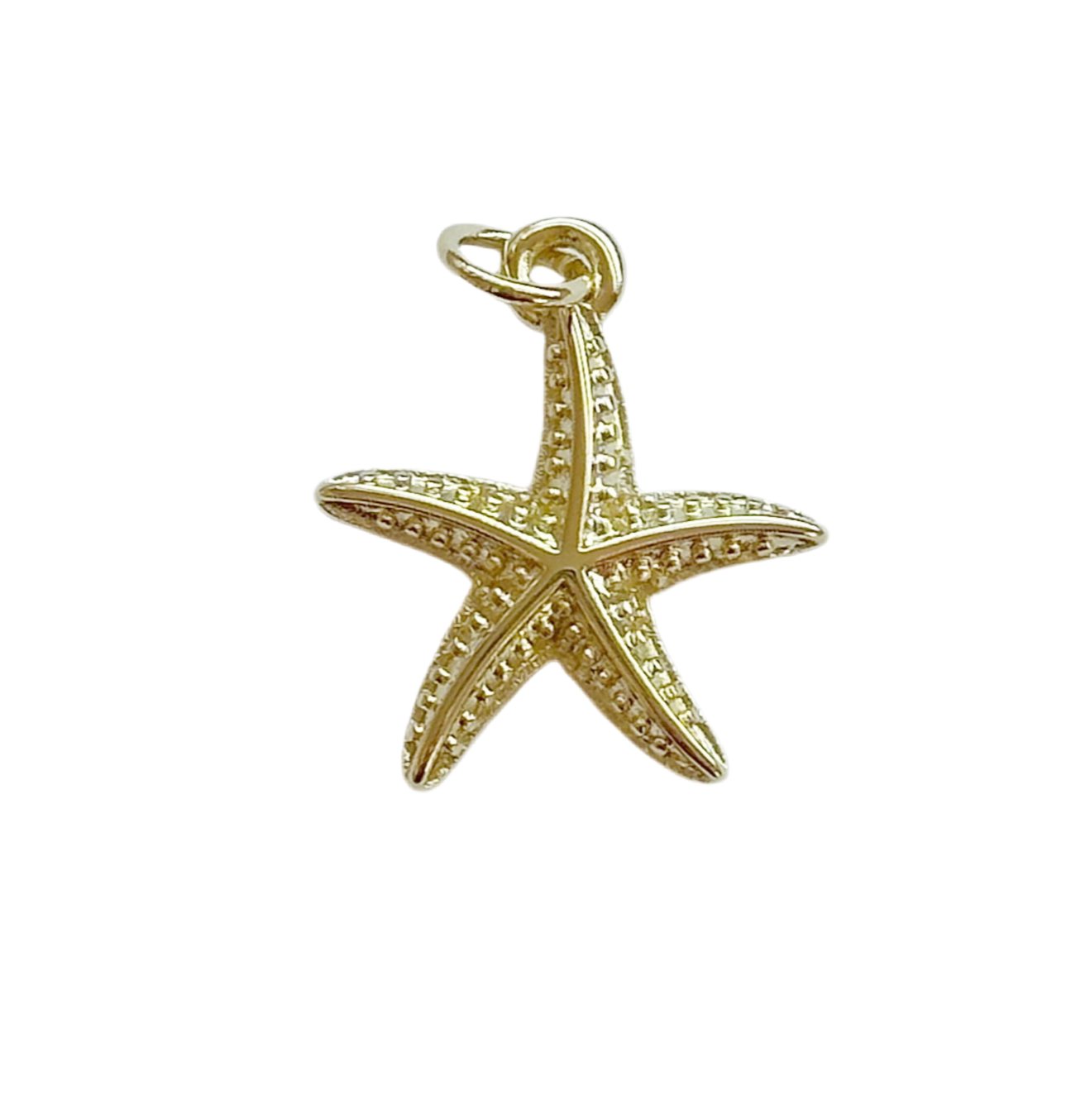 Medium Size Starfish Charm