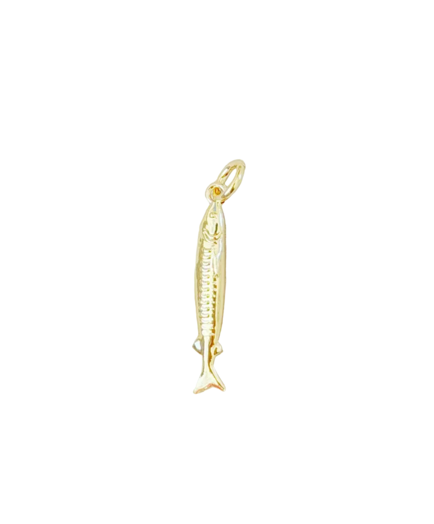 Baby Barracuda Charm