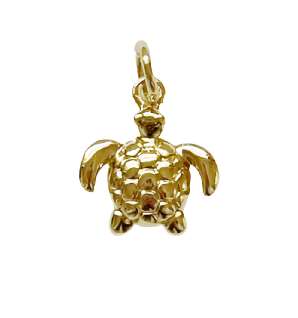 Sea Turtle Charm