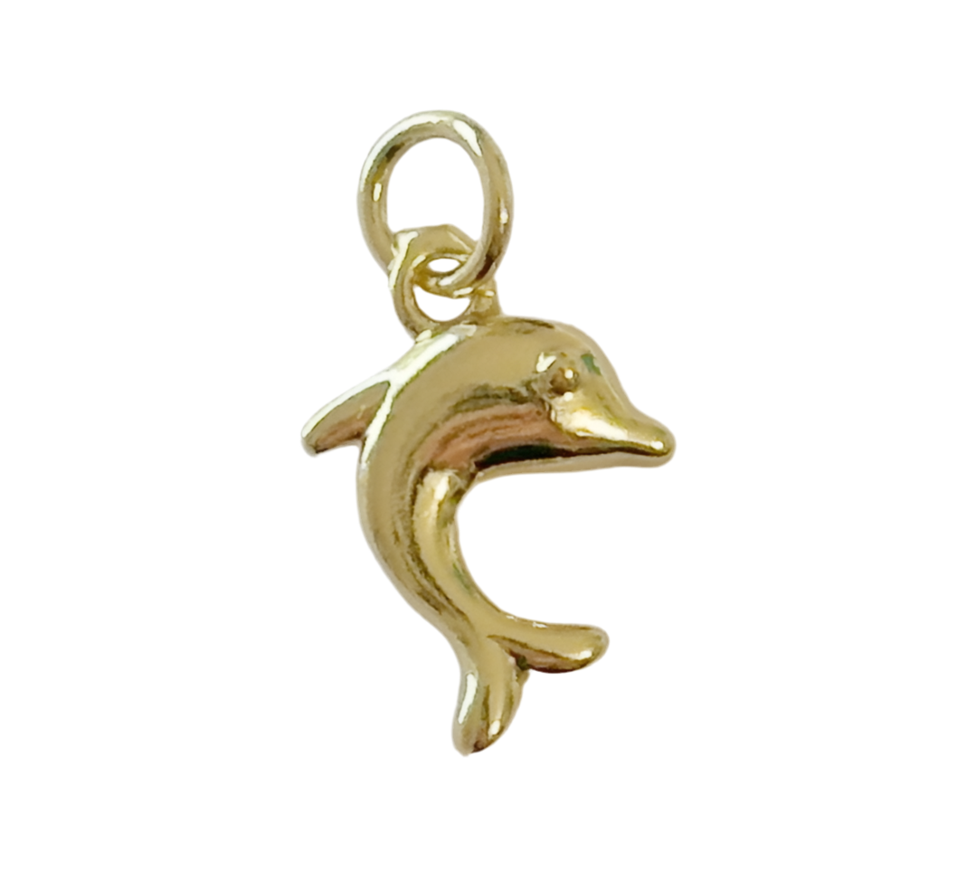 Dolphin Charm
